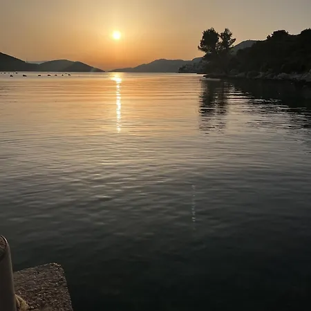 Ljiljana 3*